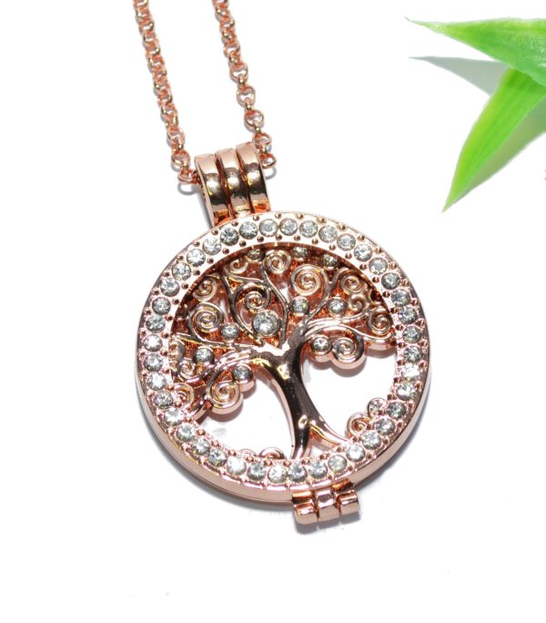 COIN MEDAILLON Halskette Anhänger Edelstahl rosegold Halter Münze Kettenkontor