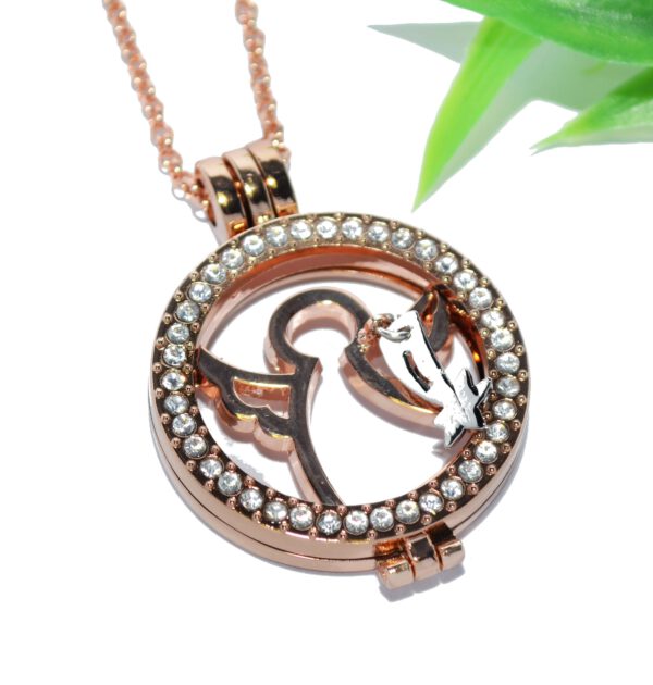 COIN MEDAILLON Halskette Anhänger Edelstahl rosegold Halter Münze Kettenkontor